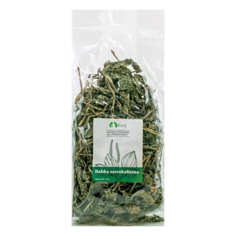 BABKA SZEROKOLISTNA Tivo