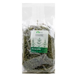 SKRZYP Polny Tivo zwierzynkowo zioło siano