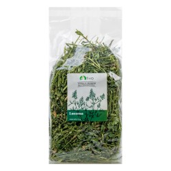 LUCERNA Tivo  zioło zwierzynkowo promocja zęby trawienie przysmak smakołyk