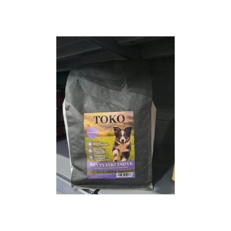 Toko brytyjski indyk szczenię 2kg