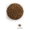 Acana Pacifica dog 2kg