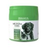 HOLISTA ARGININA AAKG 100g suplement dla psa i kota