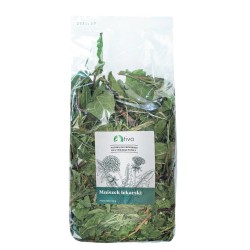 Suszone liście mniszka lekarskiego – zdrowa przekąska