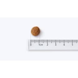 John Dog  berry line wołowina z krylem mini rasy 2kg karma sucha