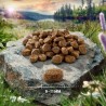 Purizon jagnięcina i ryba 400g sucha karma dla kota