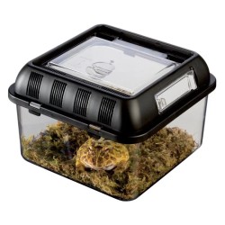 EXO TERRA Box hodowlany S 20,5x20,5x14 cm