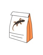 Karma dla jaszczurek