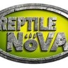 Reptile Nova